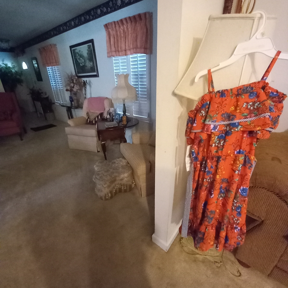 Dress - Picture 2 of 3